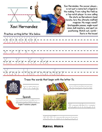 Royal Hues Penmanship Print Dry Erase Sleeve & 2 Markers